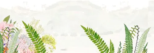 篮球周期训练计划怎么写的_0